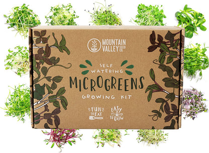 Self-Watering Indoor Microgreens Kit – Hydroponic Growing Kit for Vegetables & Herbs